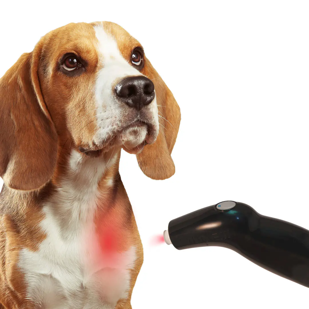 Treatlite - laser för smådjur - Bild 5
